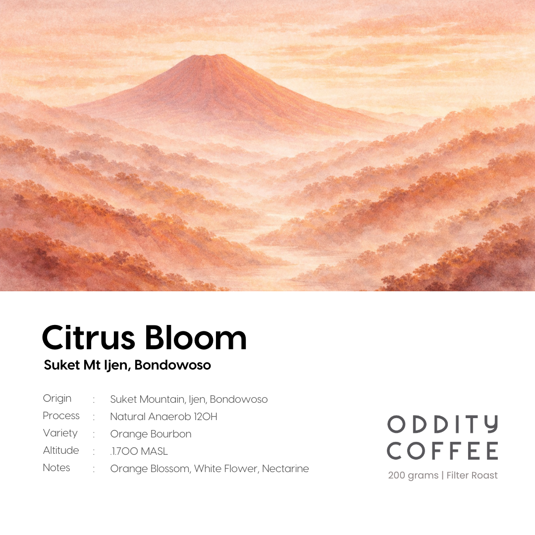 Citrus Bloom - Mt Suket, East Java, Indonesia