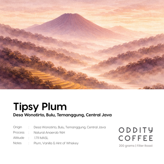 Tipsy Plum - Temaggung, Central Java, Indonesia